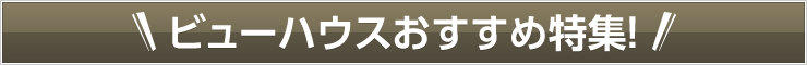 ビューハウスおすすめ特集！